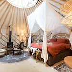 Unieke Yurt In Het Bos Met Jacuzzi En Sauna *