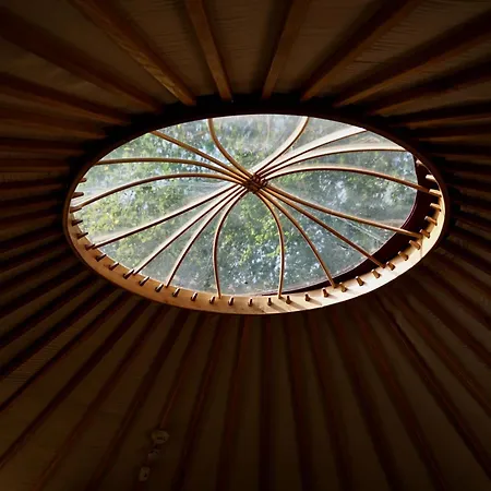 Unieke Yurt In Het Bos Met Jacuzzi En Sauna * Erp