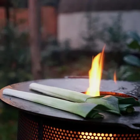 Οργανωμένο κάμπινγκ Unieke Yurt In Het Bos Met Jacuzzi En Sauna *