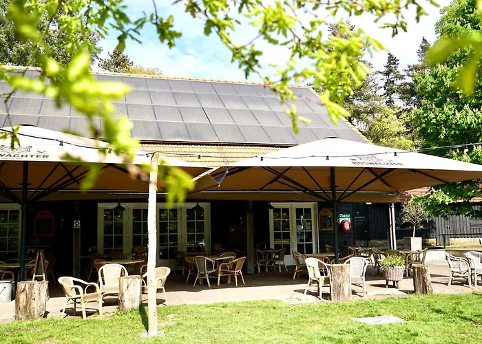 Unieke Yurt In Het Bos Met Jacuzzi En Sauna Luxussátor Erp