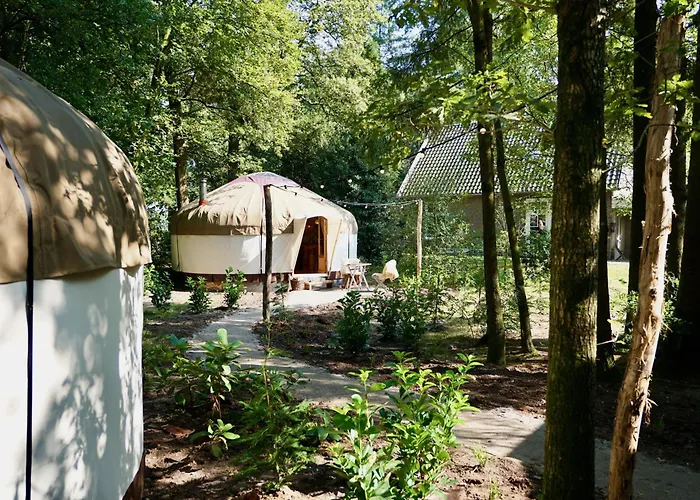 Luxuszelt Unieke Yurt In Het Bos Met Jacuzzi En Sauna