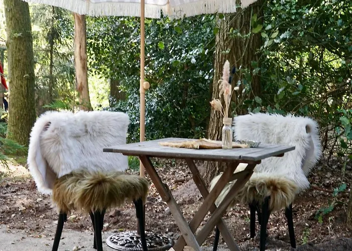 Unieke Yurt In Het Bos Met Jacuzzi En Sauna