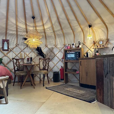 Lüks kamp alanı Unieke Yurt In Het Bos Met Jacuzzi En Sauna *