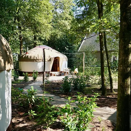 Lüks kamp alanı Unieke Yurt In Het Bos Met Jacuzzi En Sauna