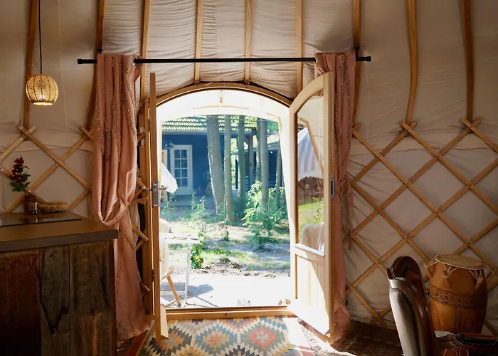 Unieke Yurt In Het Bos Met Jacuzzi En Sauna